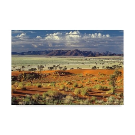 Marc Pelissier 'Tok Tokkie Desert' Canvas Art,16x24